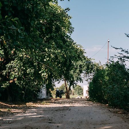 The Luxe Pushkar - A Luxury Farmstay In Pushkar Ngoại thất bức ảnh