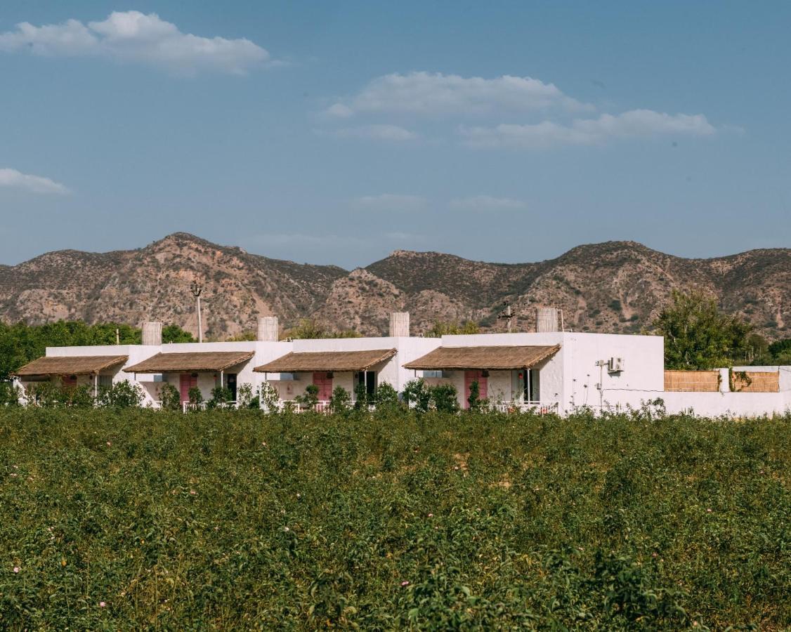 The Luxe Pushkar - A Luxury Farmstay In Pushkar Ngoại thất bức ảnh