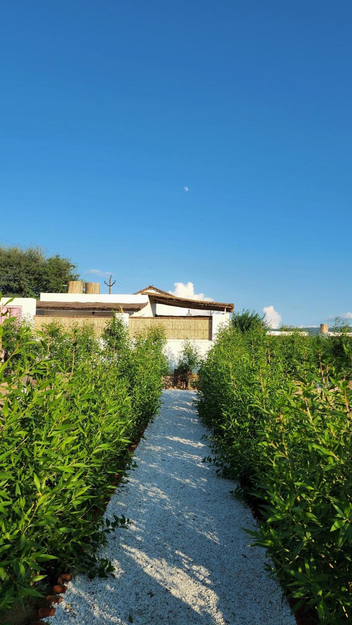 The Luxe Pushkar - A Luxury Farmstay In Pushkar Ngoại thất bức ảnh