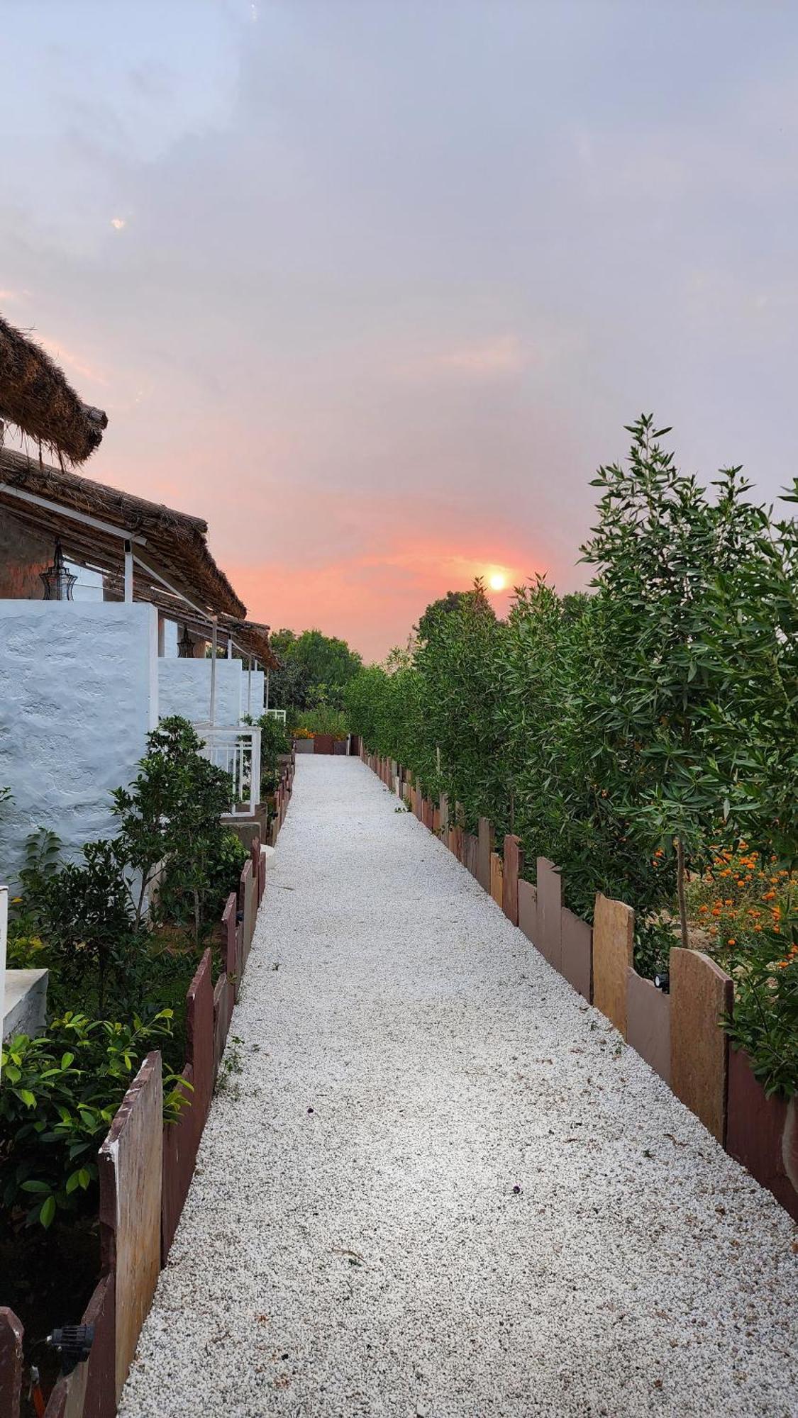 The Luxe Pushkar - A Luxury Farmstay In Pushkar Ngoại thất bức ảnh