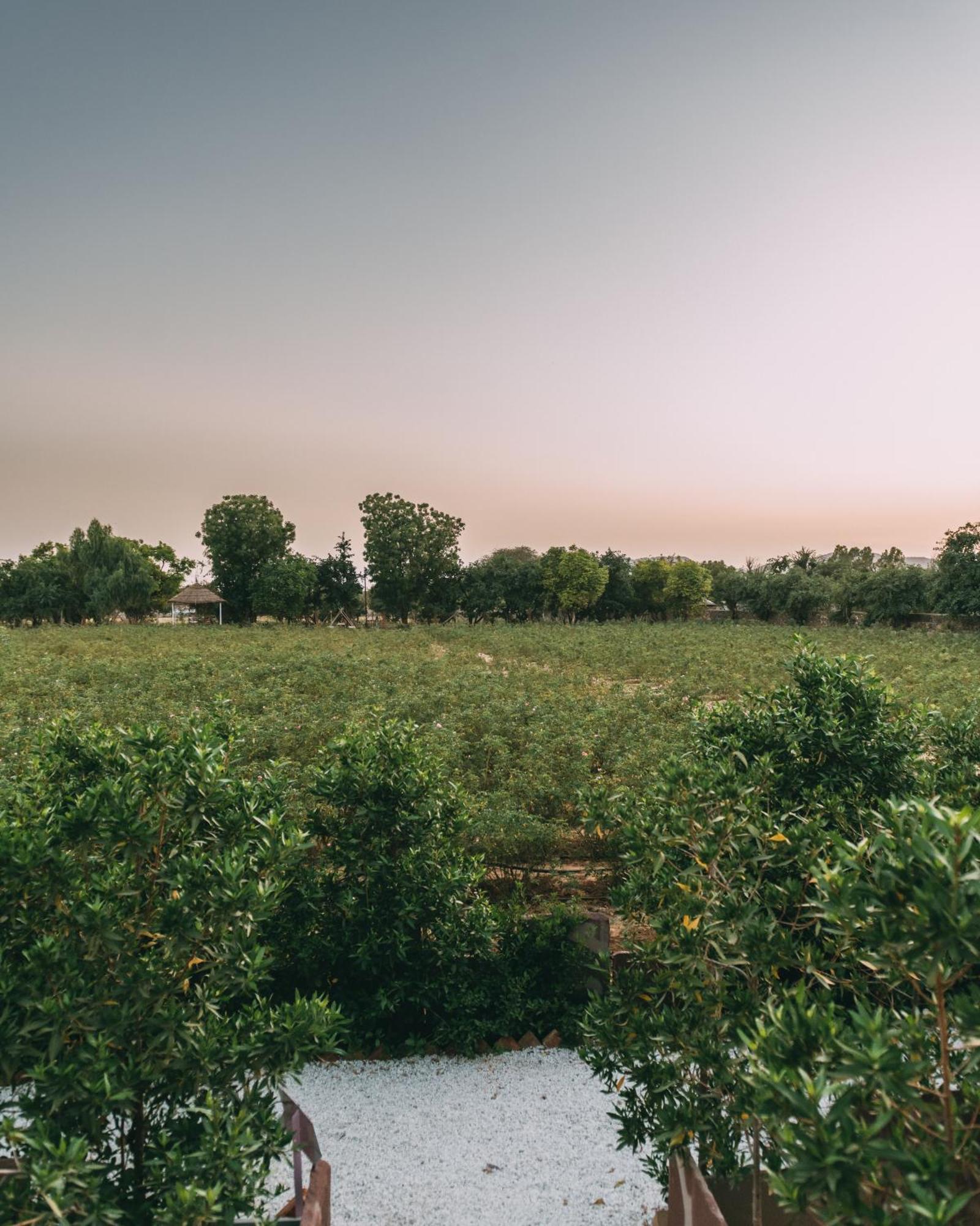 The Luxe Pushkar - A Luxury Farmstay In Pushkar Ngoại thất bức ảnh