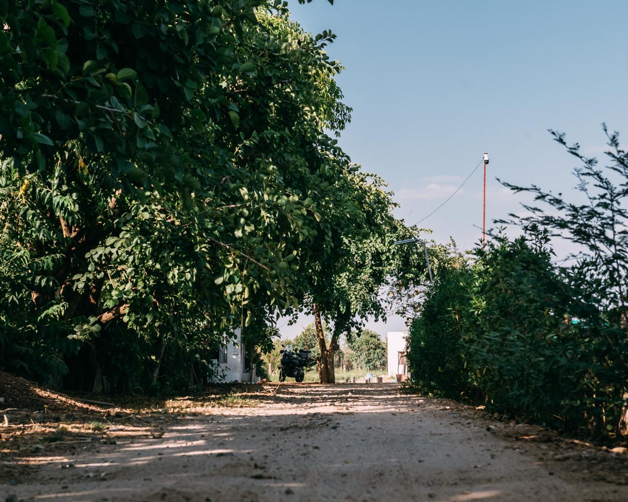 The Luxe Pushkar - A Luxury Farmstay In Pushkar Ngoại thất bức ảnh